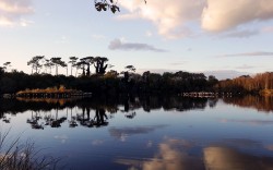 Marais de mousterlin derrière les dunes de Fouesnant