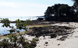 plage de bot-conan finistère sud à fouesnant